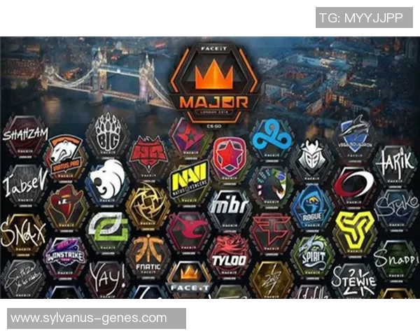 CSGO技术排名新突破V5战队再创辉煌成就引发热议