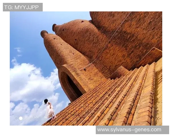 重庆极限运动队在极限运动联赛中的速度表现分析与点评