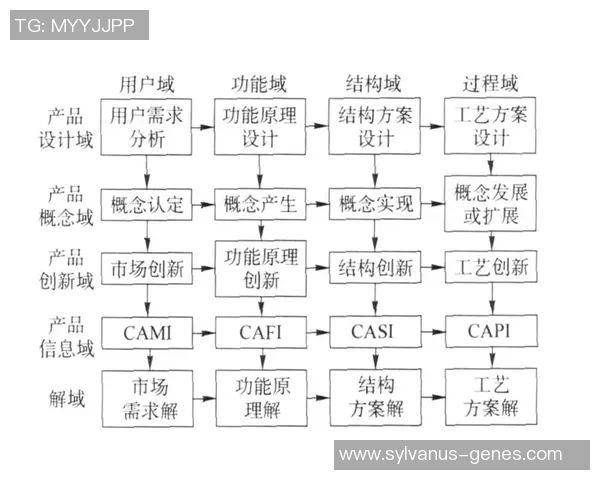 探索上海篮球队运营体系中的战术创新与实践分析 探索上海篮球队运营体系中的战术创新与实践分析