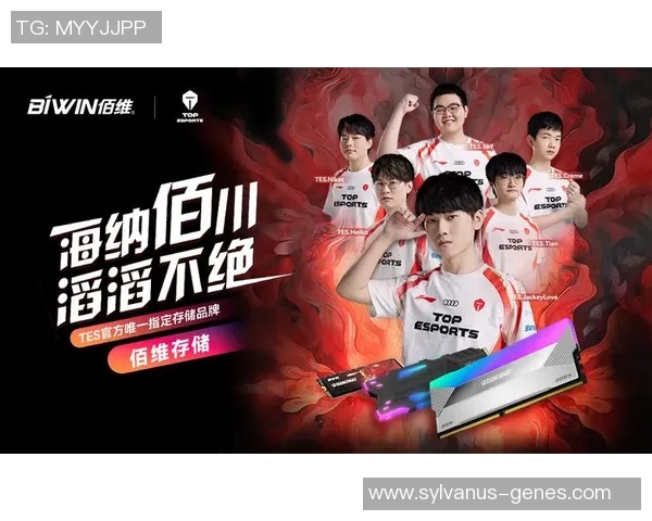 英雄联盟耐力排行榜揭晓TES战队荣登第四名引发热议