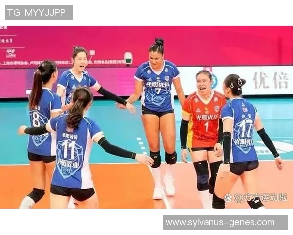 上海排球队实力强劲荣登全国排球实力排行榜第四名