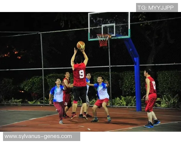 广州篮球队选拔赛背后的拼搏故事与奋斗历程揭秘