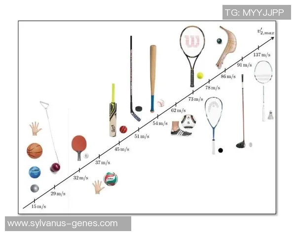 全国锦标赛积分榜更新北京网球队以91分稳居第一名 全国锦标赛积分榜更新北京网球队以91分稳居第一名