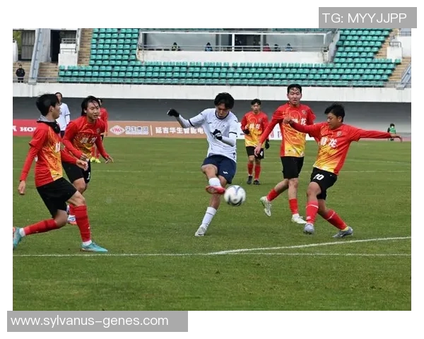 广州足球队以69分稳居欧锦赛积分榜首位展现强劲实力 广州足球队以69分稳居欧锦赛积分榜首位展现强劲实力