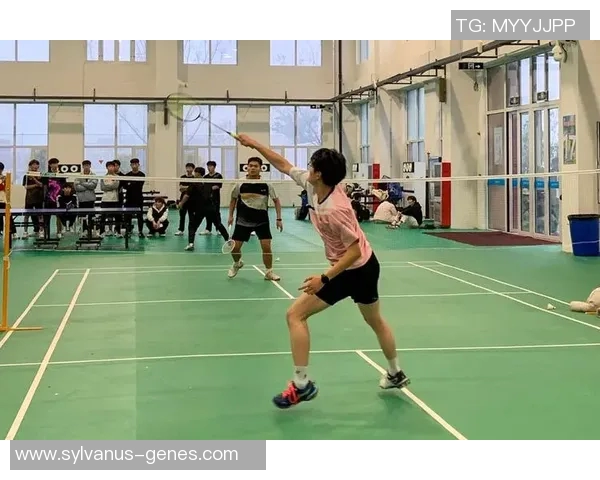 北京羽毛球队灵活性变革引发热议助力竞技水平提升与未来发展