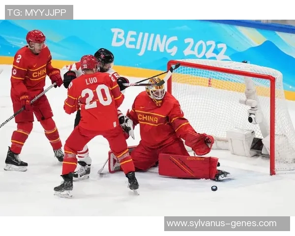 南京篮球队逆袭之旅特别报道展现团队精神与不屈斗志