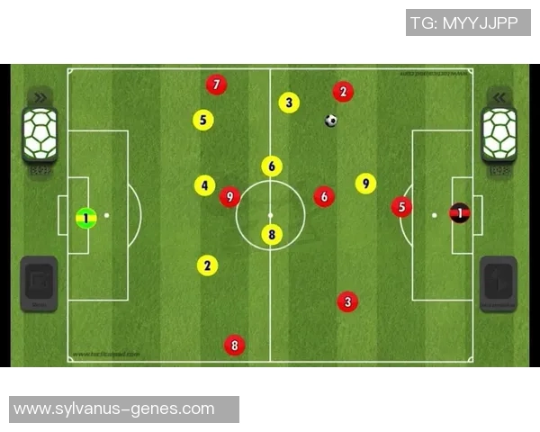 成都羽毛球队防守体系解析与战术运用研究