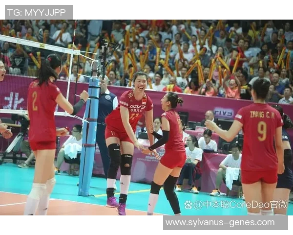 南京排球队在城市联赛中的战术分析与表现评估