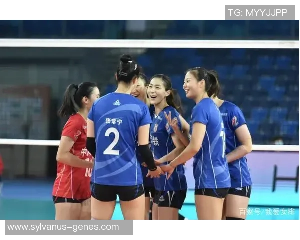 杭州排球队与上海排球队赛后战术分析与复盘探讨