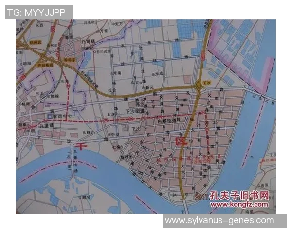 杭州网球队实力深度解析与对比分析全景展示 杭州网球队实力深度解析与对比分析全景展示