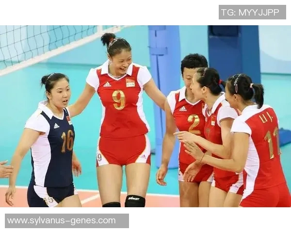 武汉排球队的转型之路与未来发展趋势深度解析