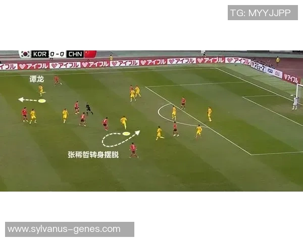 深圳足球队防守体系深度解析与战术应用探讨