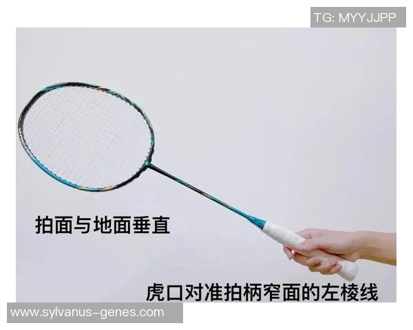 羽毛球新手必看：轻松掌握节奏与技巧的全面入门指南