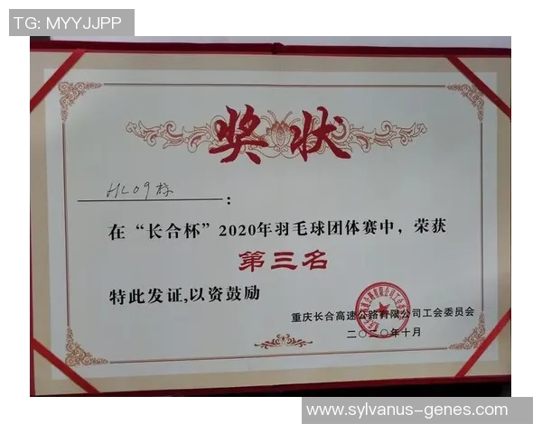 重庆羽毛球队在欧锦赛中的个人能力分析与表现评估