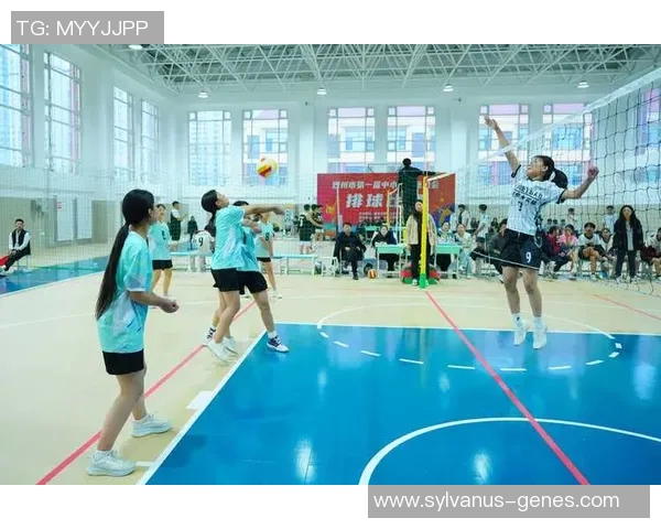 西安排球队力量变革引发热议排球界新格局与未来发展探讨