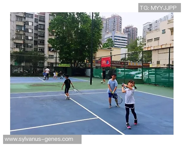 深圳网球队的蜕变之路：从传统到现代的城市联赛新篇章