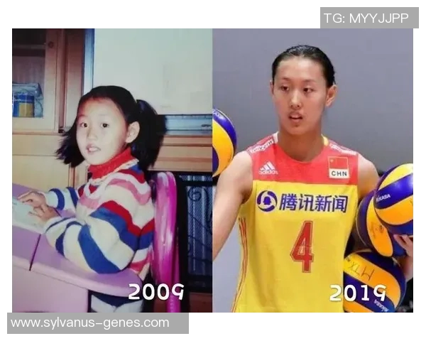 王静谈排球生涯：从青涩小将到国家队的奋斗与荣耀