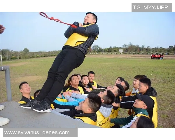 科学网球团队协作训练方法探索与实践提升运动表现与团队默契