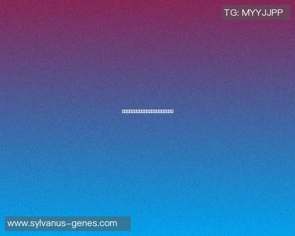 西班牙足球明星的辉煌与陨落背后的故事与启示 西班牙足球明星的辉煌与陨落背后的故事与启示