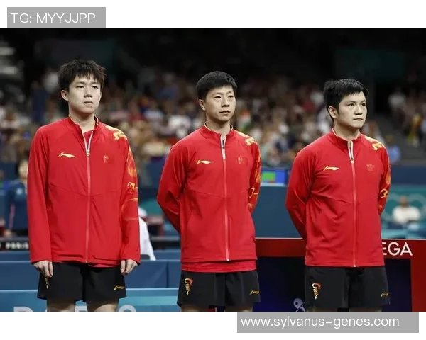 重庆乒乓球队实力揭秘：乒乓球巨献背后的故事与成就