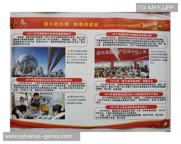 上海篮球队的辉煌历程与总决赛背后的奋斗与坚持 上海篮球队的辉煌历程与总决赛背后的奋斗与坚持