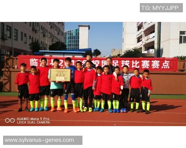 临澧县足球明星阵容正式揭晓各路球员齐聚展现风采