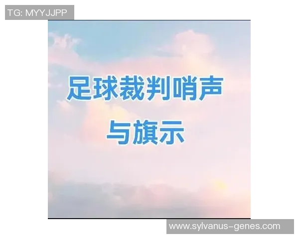 关星裁判的足球之路与公平竞技的坚守精神