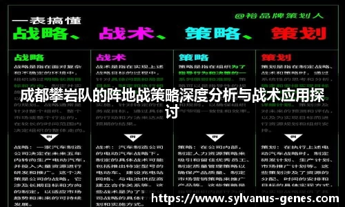 成都攀岩队的阵地战策略深度分析与战术应用探讨