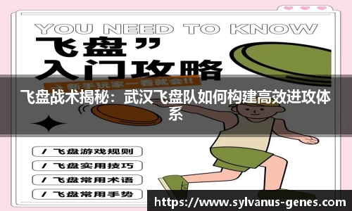 飞盘战术揭秘：武汉飞盘队如何构建高效进攻体系