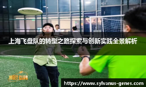 上海飞盘队的转型之路探索与创新实践全景解析