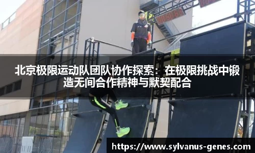 北京极限运动队团队协作探索：在极限挑战中锻造无间合作精神与默契配合