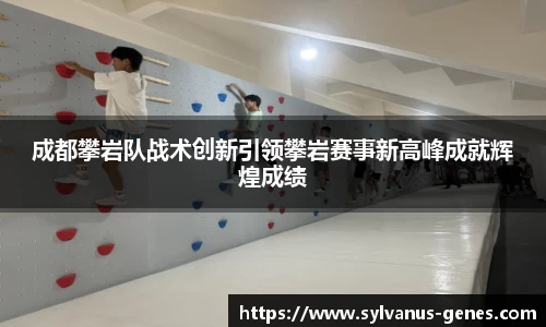 成都攀岩队战术创新引领攀岩赛事新高峰成就辉煌成绩