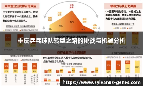 重庆乒乓球队转型之路的挑战与机遇分析