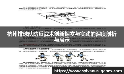 杭州排球队防反战术创新探索与实践的深度剖析与启示