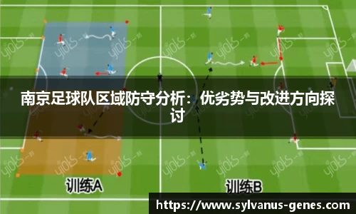南京足球队区域防守分析：优劣势与改进方向探讨