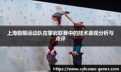 上海极限运动队在攀岩联赛中的技术表现分析与点评