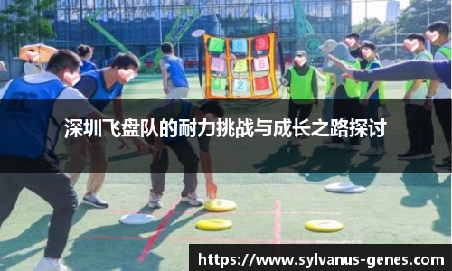 深圳飞盘队的耐力挑战与成长之路探讨