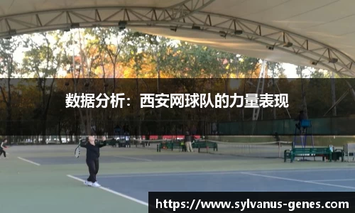 数据分析：西安网球队的力量表现