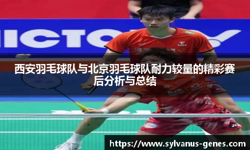 西安羽毛球队与北京羽毛球队耐力较量的精彩赛后分析与总结