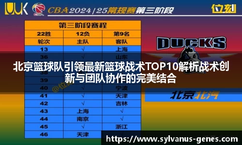 北京篮球队引领最新篮球战术TOP10解析战术创新与团队协作的完美结合