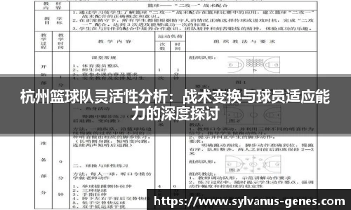 杭州篮球队灵活性分析：战术变换与球员适应能力的深度探讨