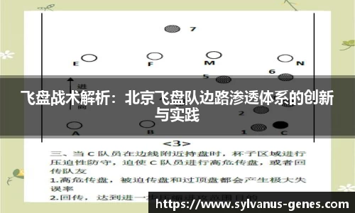 飞盘战术解析：北京飞盘队边路渗透体系的创新与实践