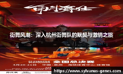 街舞风潮：深入杭州街舞队的默契与激情之旅