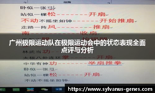 广州极限运动队在极限运动会中的状态表现全面点评与分析