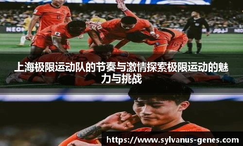 上海极限运动队的节奏与激情探索极限运动的魅力与挑战