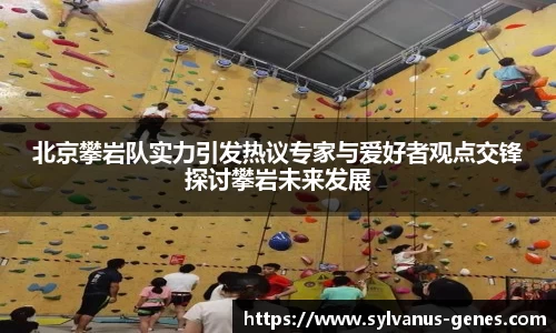 北京攀岩队实力引发热议专家与爱好者观点交锋探讨攀岩未来发展