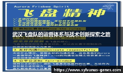 武汉飞盘队的运营体系与战术创新探索之路