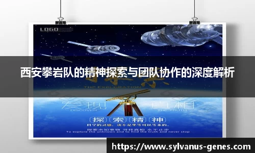 西安攀岩队的精神探索与团队协作的深度解析