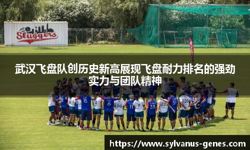 武汉飞盘队创历史新高展现飞盘耐力排名的强劲实力与团队精神